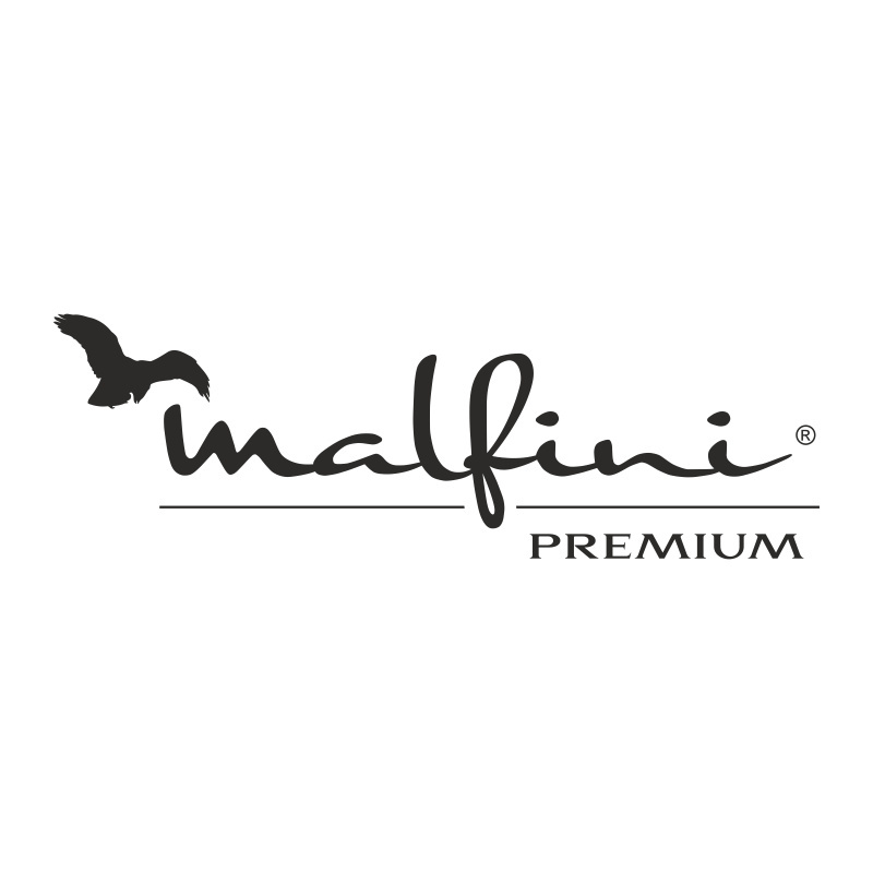 Markowa odzież reklamowa Malfini premium